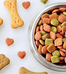 Pet Food